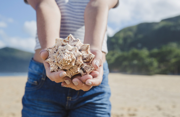 Día Mundial de las Playas: un llamado a cuidar el tesoro natural de los mares